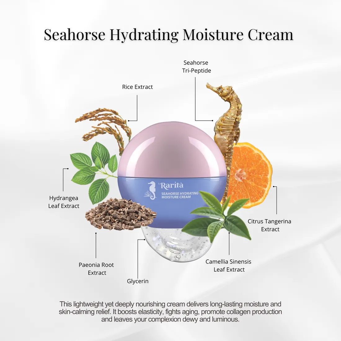 Seahorse Multi Active Peptide Cream Set – Key ingredients (second product)
