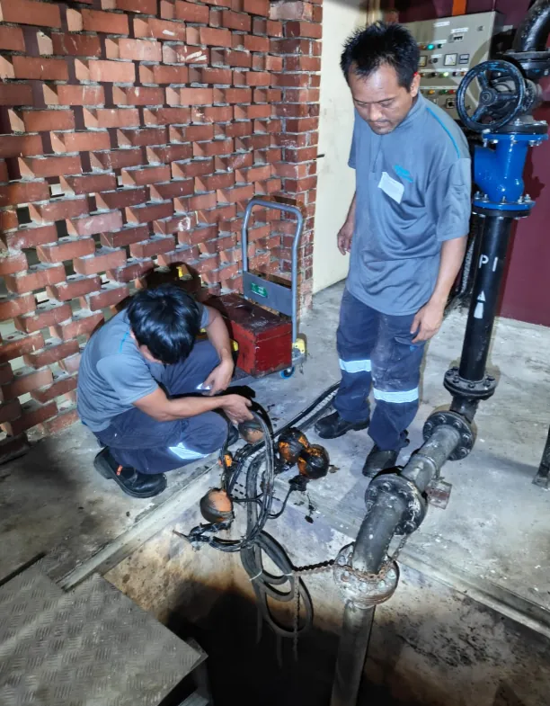 Pump servicing