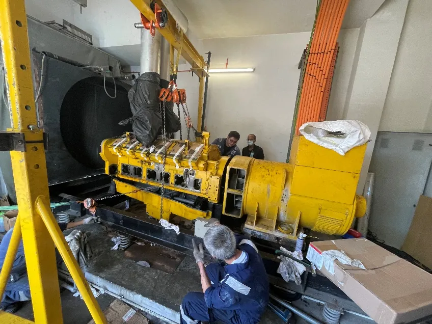 Diesel generator servicing