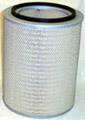 Fleetguard AF25801
