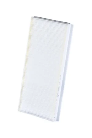 Fleetguard AF26174