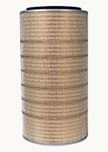 Fleetguard AF25062