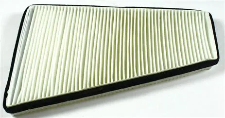 Fleetguard AF26451