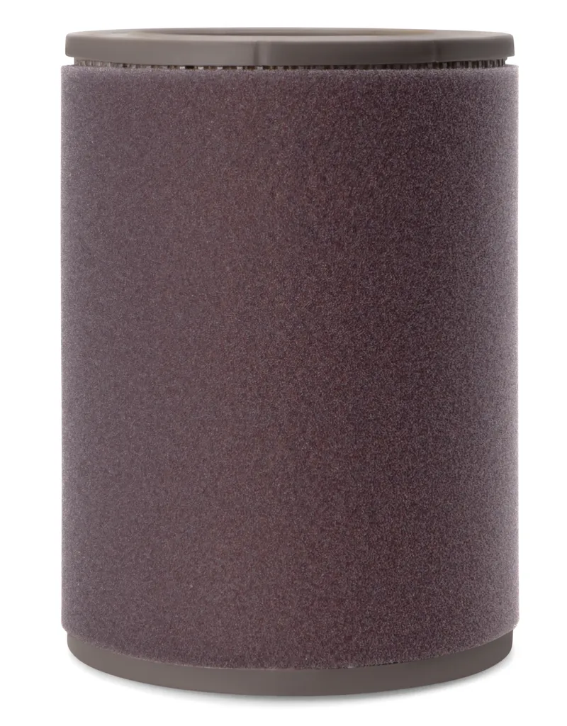 Fleetguard AF4539