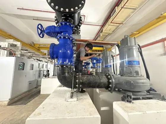 Field service on a pump system