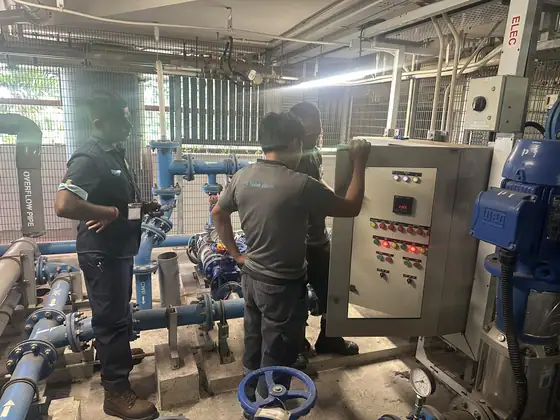 Pump system servicing