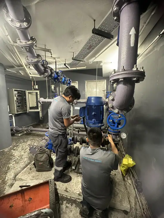 Pump system servicing
