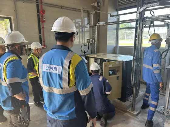 Compressor repair and overhaul